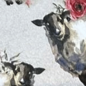 PRINTED MERINO WOOL & LEATHER SLIPPERS